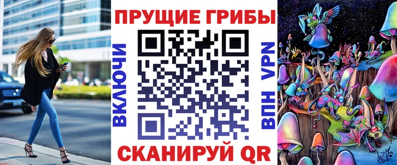 Псилоцибиновые грибы Psilocybe  Купить где  Суоярви 
