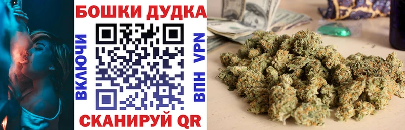 Купить закладки  Суоярви  Бошки марихуана планчик 